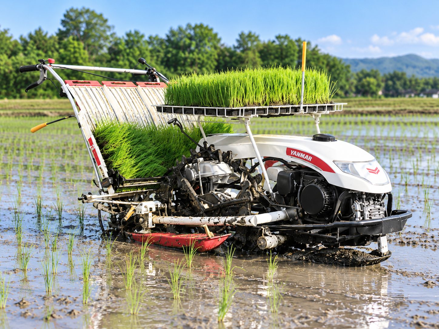 YANMAR AP4 4-Row Walk-Behind Rice Transplanter